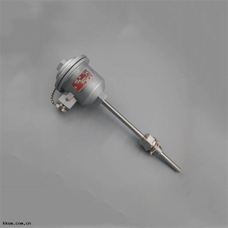 防爆(bào)溫度變送器