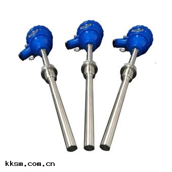 WZPM2-001雙芯端面鉑電阻(zǔ)